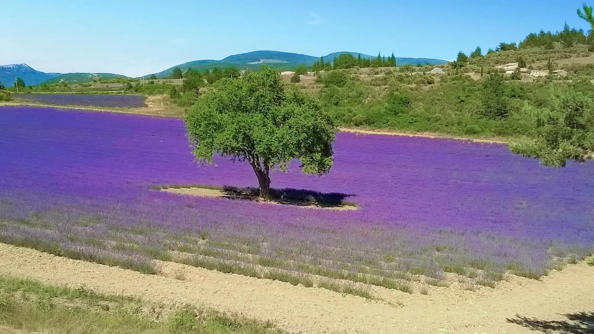 Gorgeous Stacaravan In Pernes-Les-Fontaines France